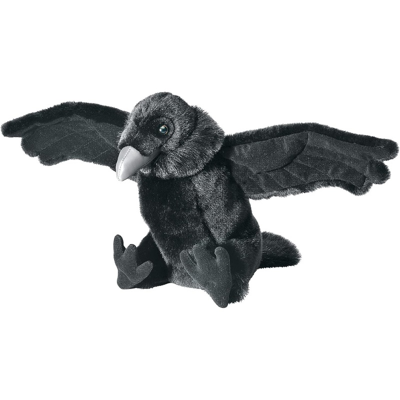 CK 12" RAVEN