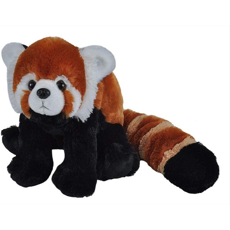 CK 12" RED PANDA