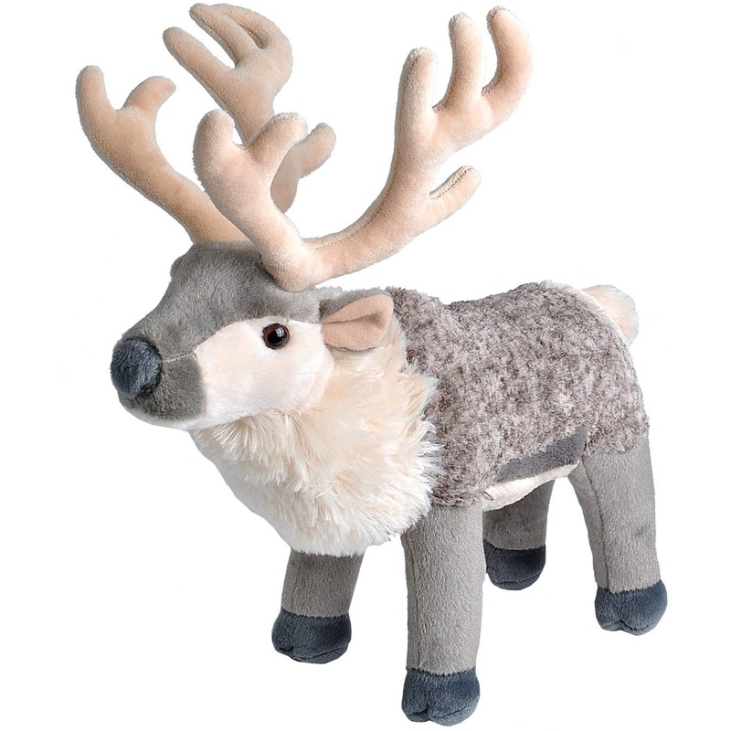 CK 12" REINDEER