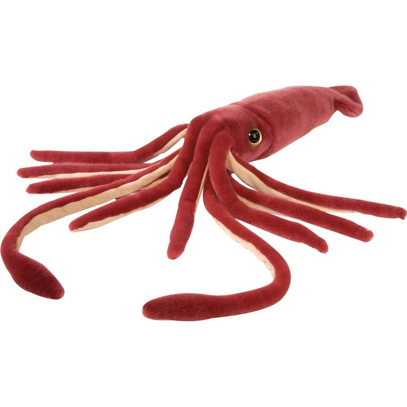 CK 12" SQUID