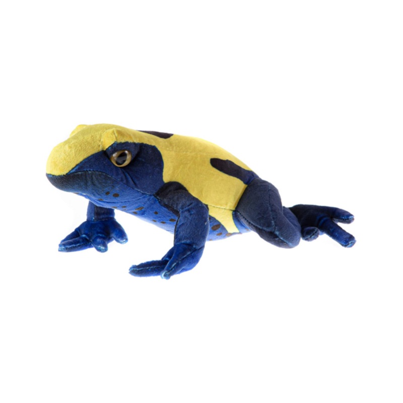 WILD CALLS BLUE POISON DART FROG