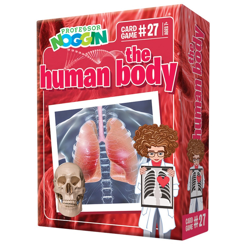 THE HUMAN BODY