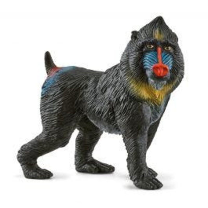 SCHLEICH WILD LIFE- MANDRILL