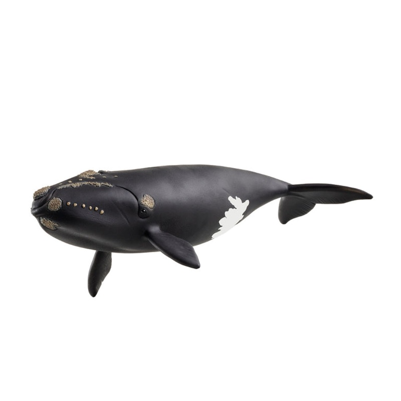 SCHLEICH NORTH ATLANTIC RIGHT WHALE