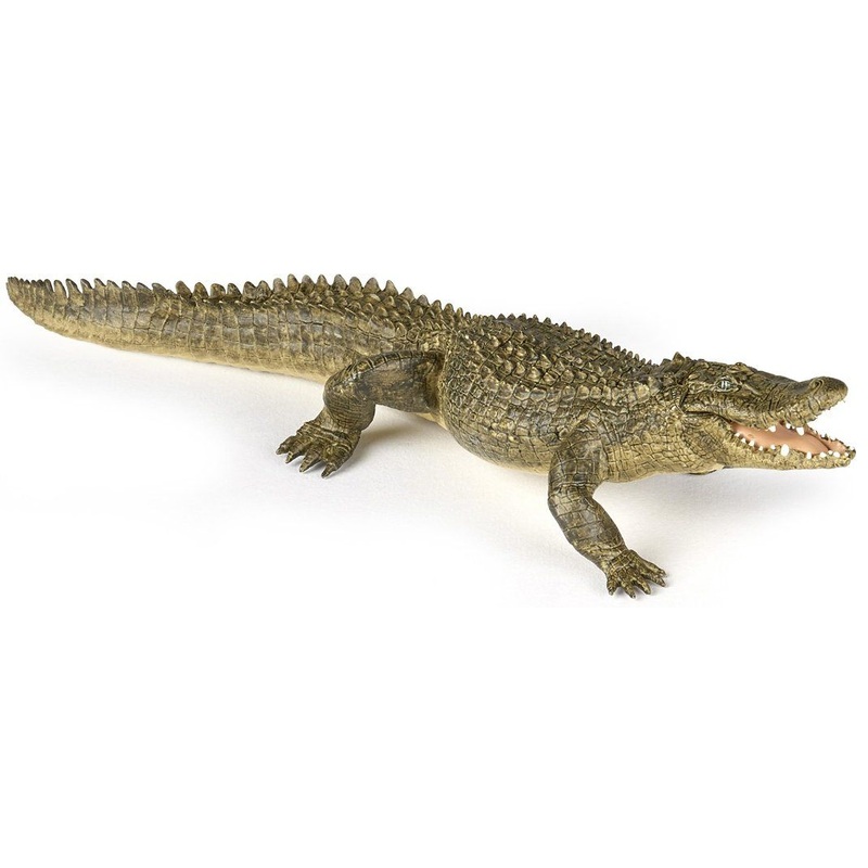 PAPO ALLIGATOR