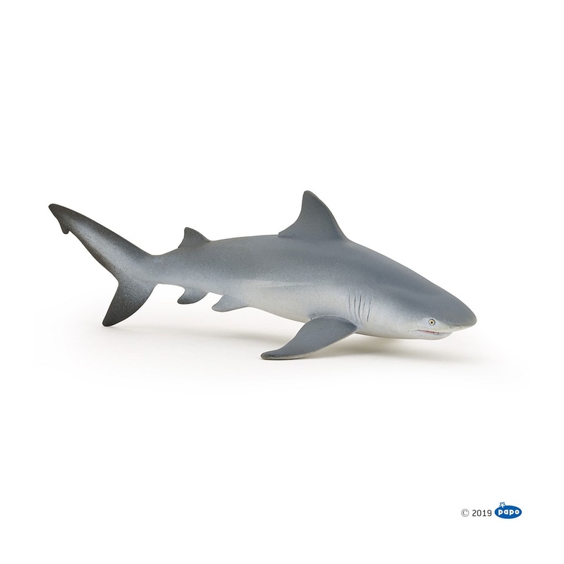 PAPO BULL SHARK