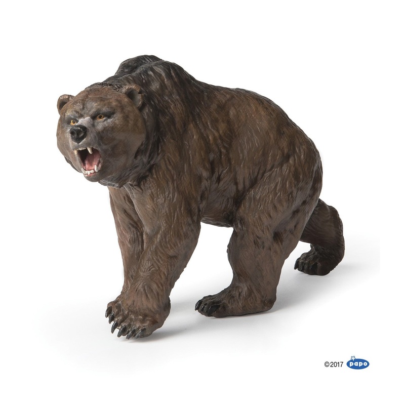 PAPO CAVE BEAR