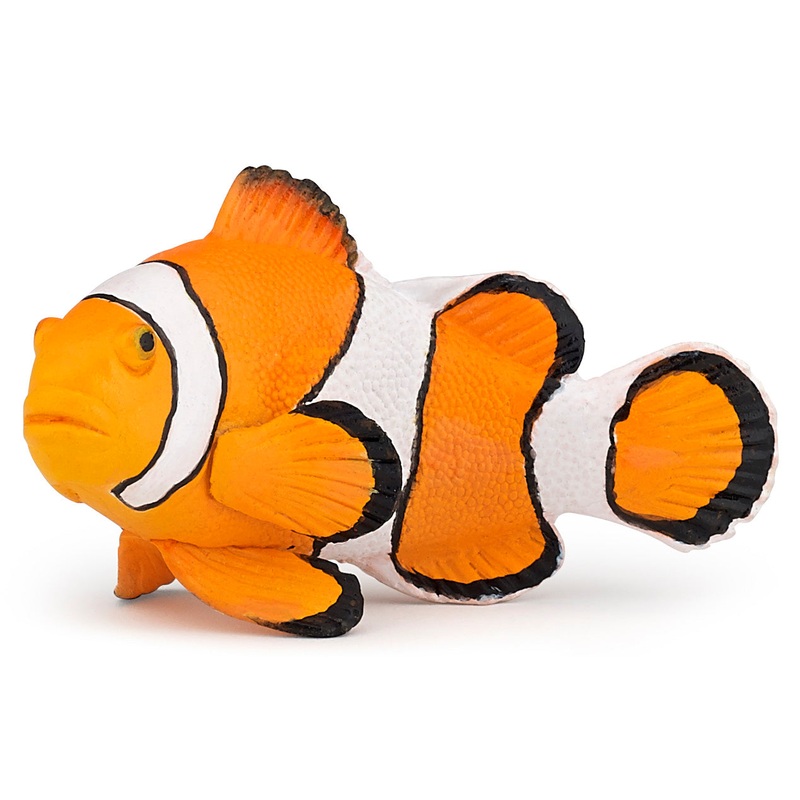 PAPO CLOWNFISH