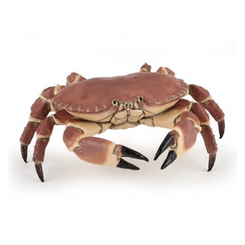 PAPO CRAB