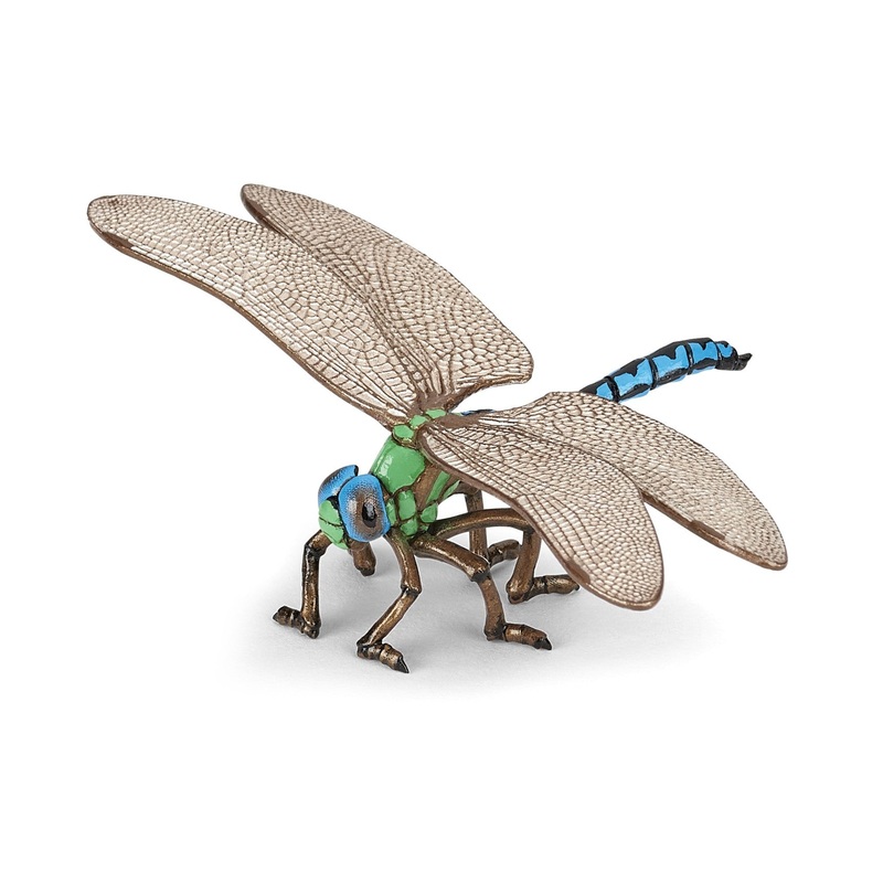 PAPO DRAGONFLY