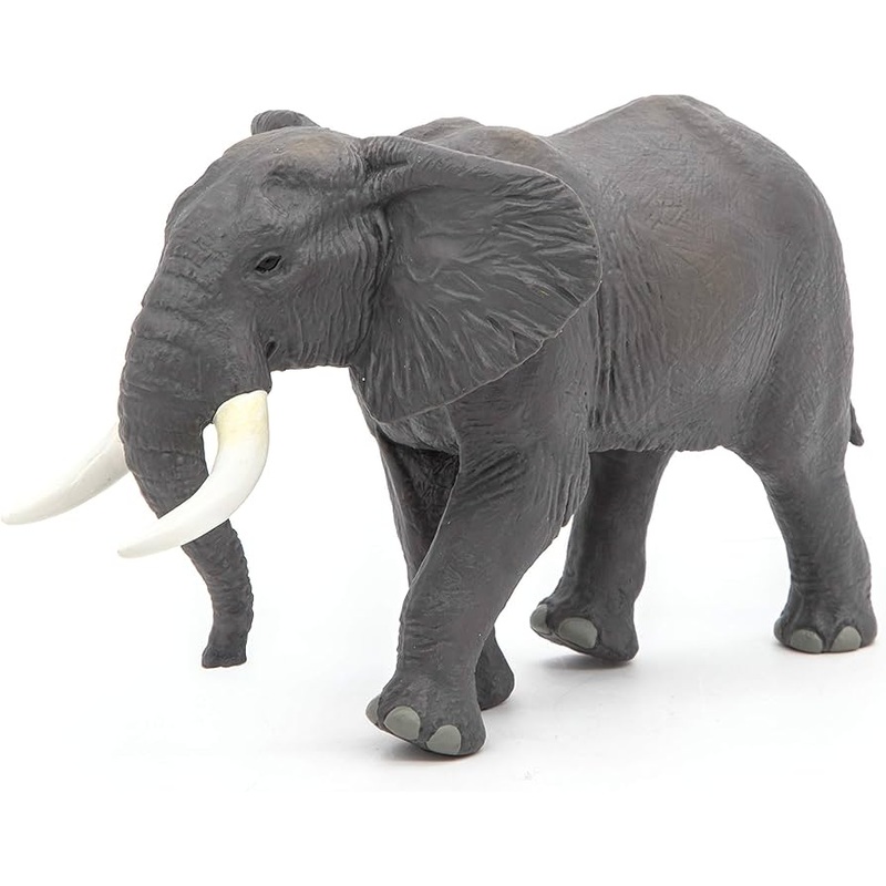 PAPO ELEPHANT