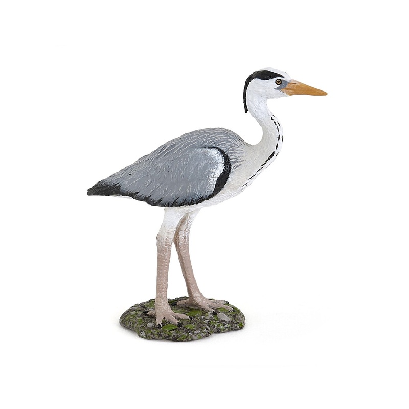 PAPO HERON