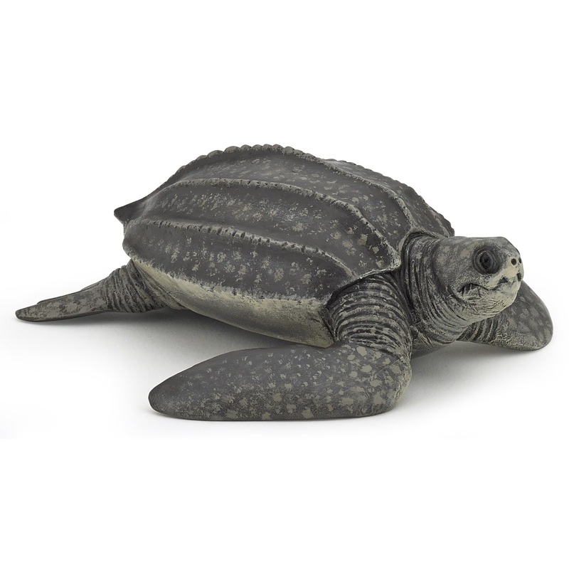 PAPO LEATHERBACK TURTLE