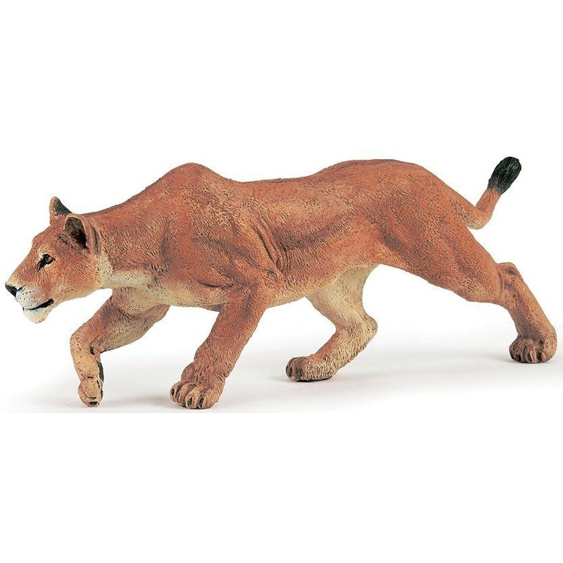 PAPO LIONESS CHASING