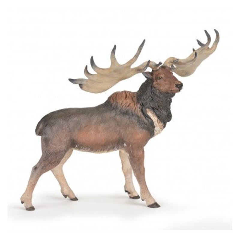 PAPO MEGALOCEROS