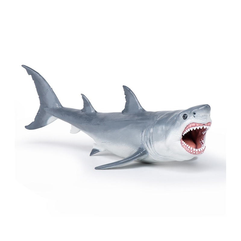 PAPO MEGALODON