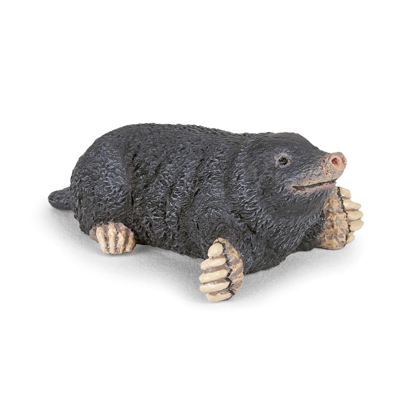 PAPO MOLE