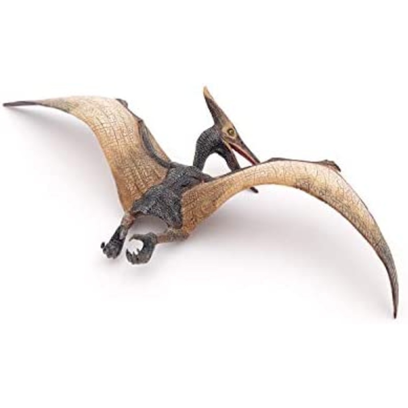 PAPO PTERANODON