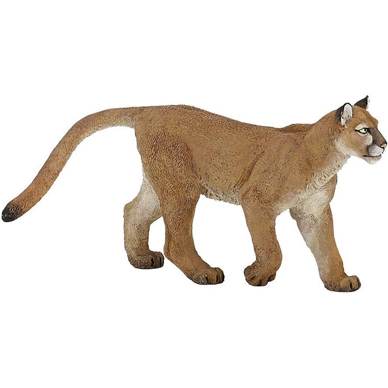 PAPO PUMA