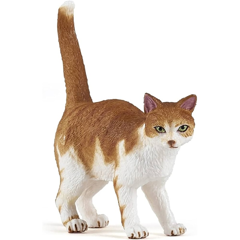 PAPO RED CAT
