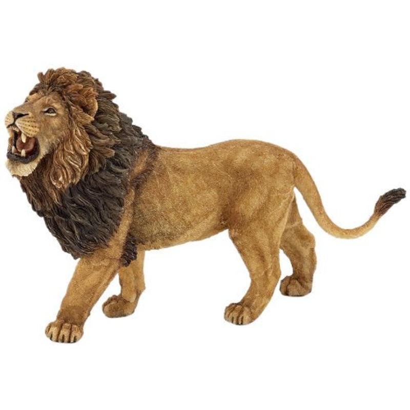 PAPO ROARING LION