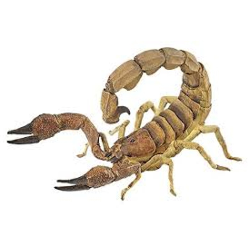 PAPO SCORPION