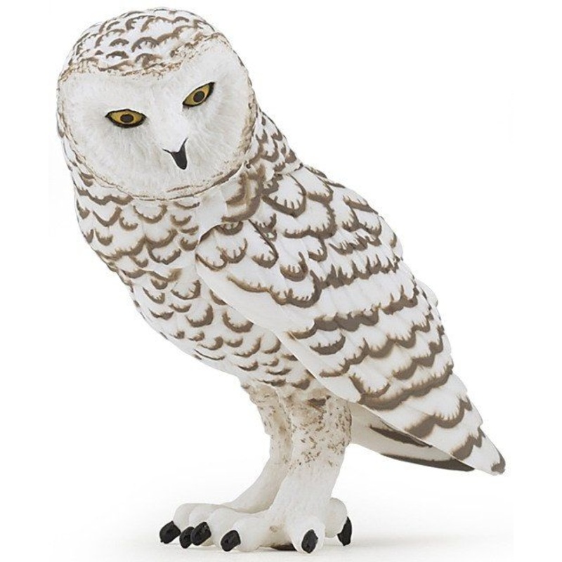 PAPO SNOWY OWL