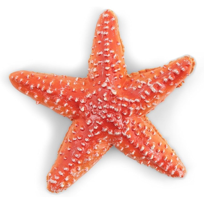 PAPO STARFISH