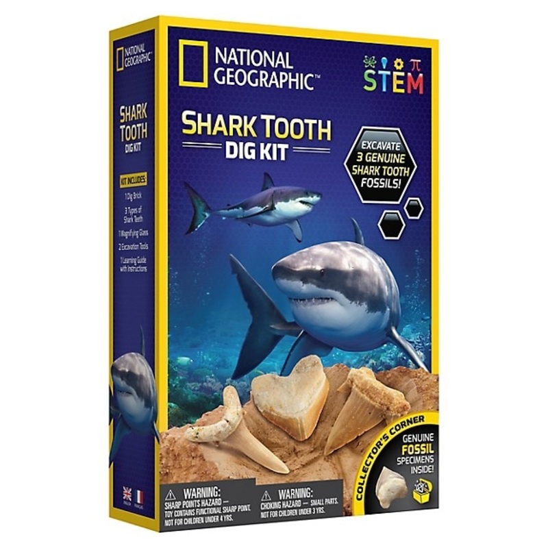 NATIONAL GEOGRAPHIC SHARK TOOTH DIG KIT