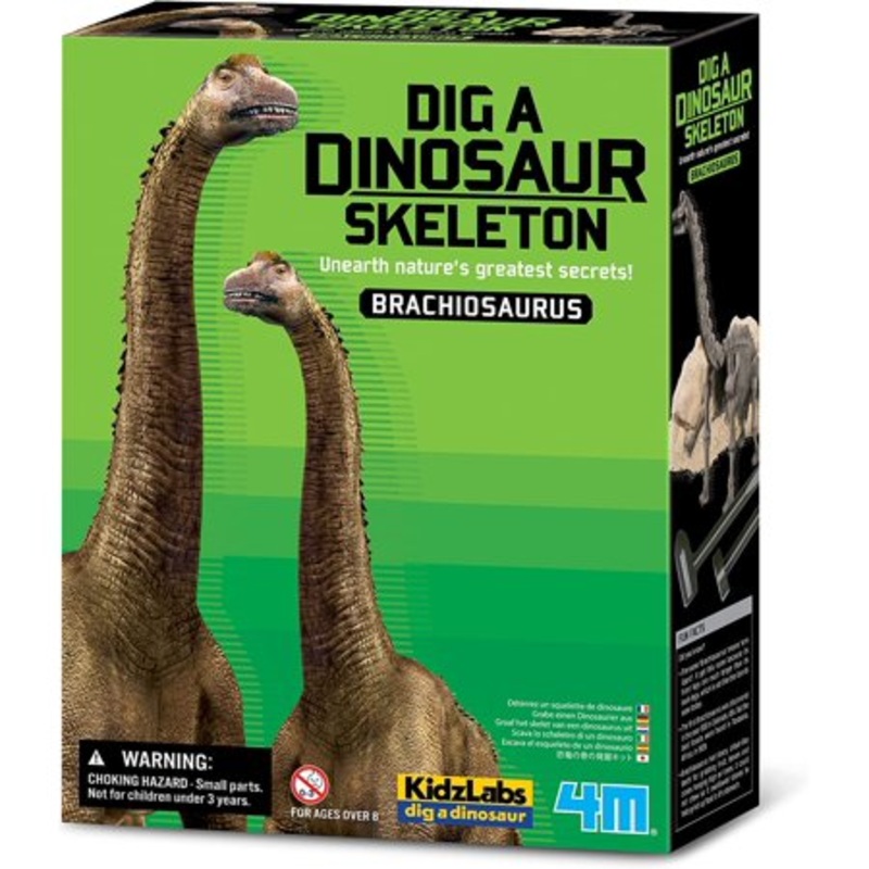 4M DIG A BRACHIOSAURUS