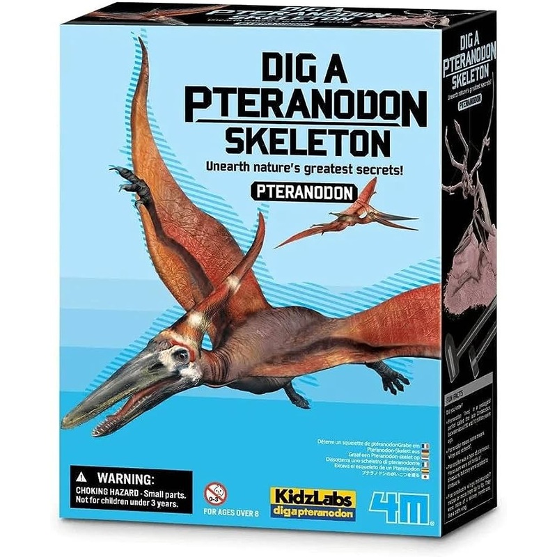 4M DIG A PTERANODON