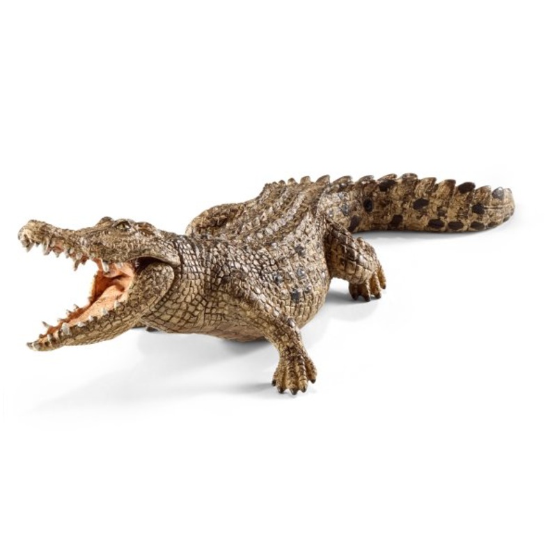 Crocodile