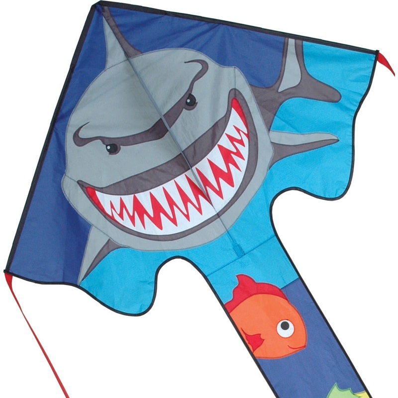 Cruiser - Large Easy Flyer