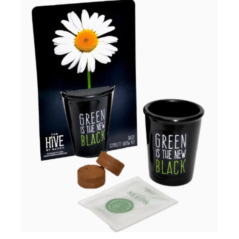 Daisy Green Is The New Black Kit