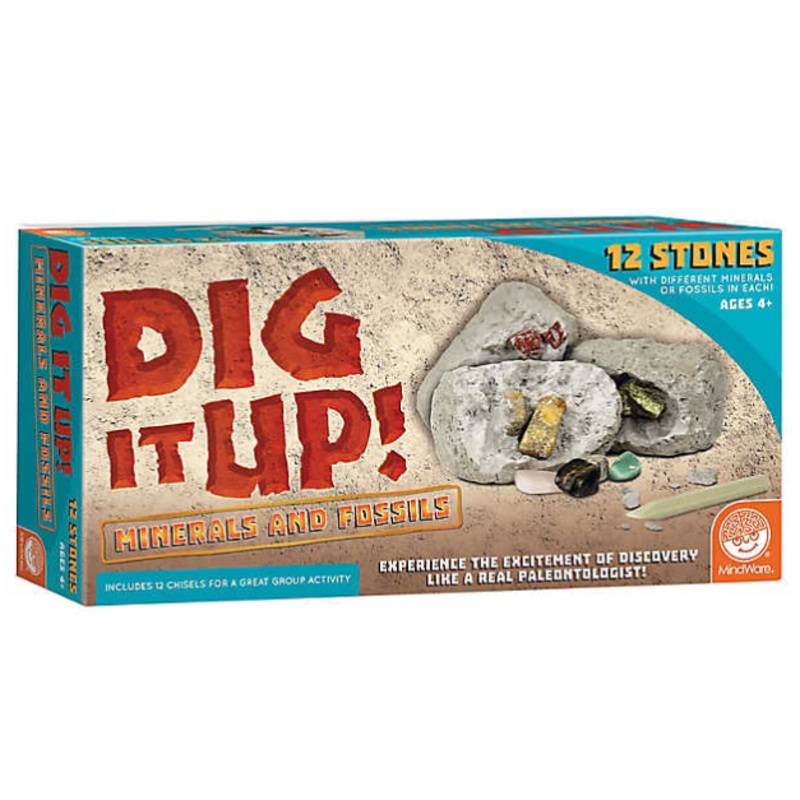 Dig It Up! Fossils & Minerals