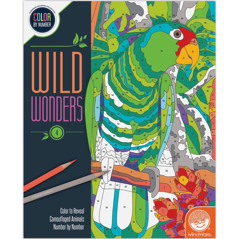 Color By Number Wild Wonders: Book 4