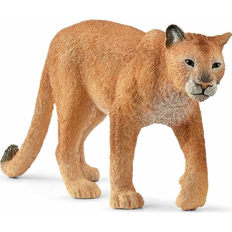 Cougar
