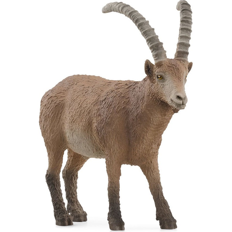 Capricorn