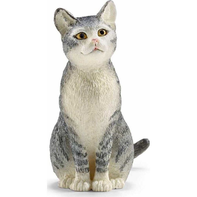 Cat, Sitting
