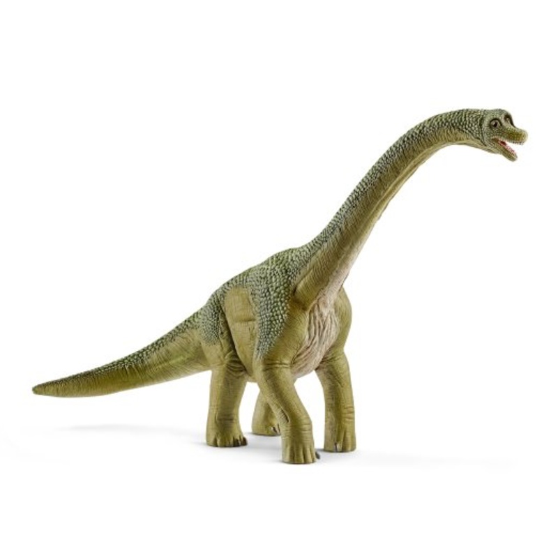 Brachiosaurus