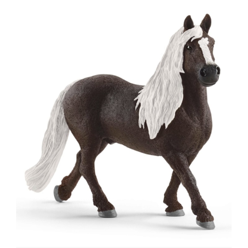 Black Forest Stallion