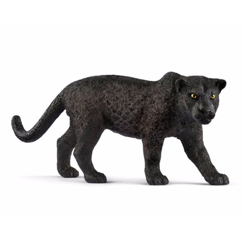 Black panther