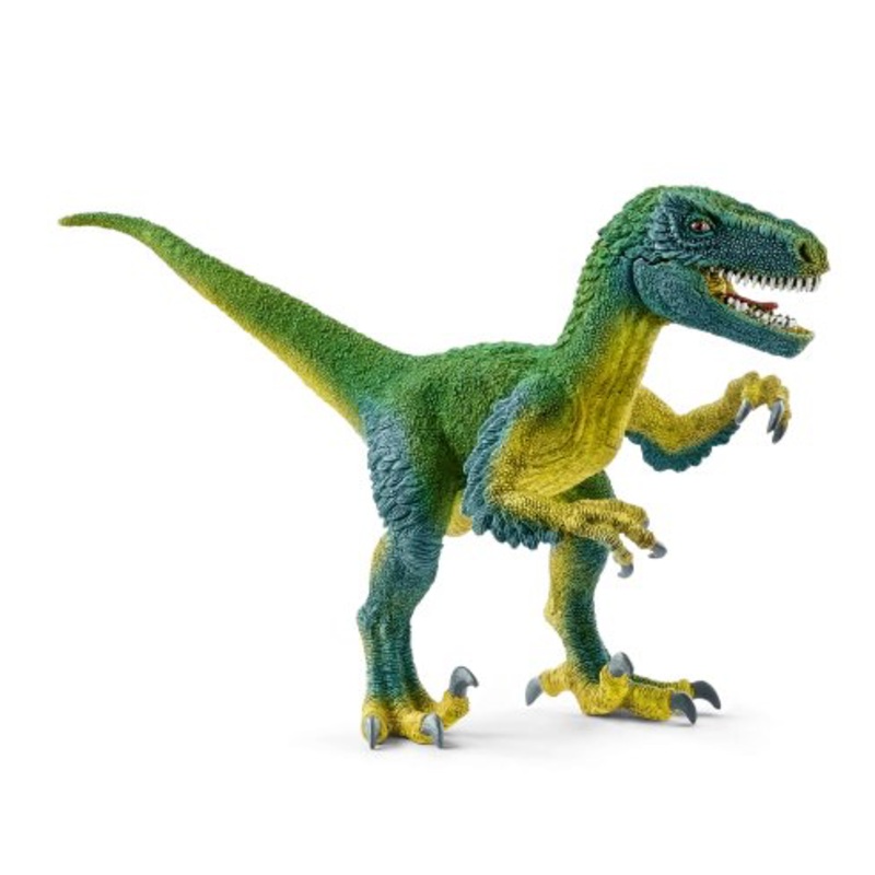 Velociraptor