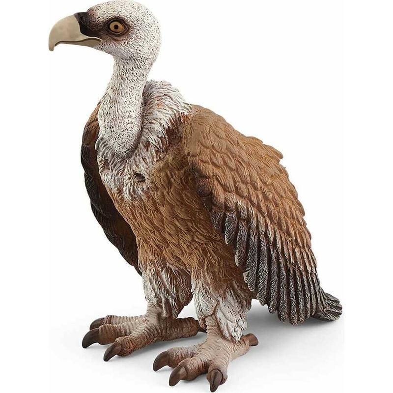 Vulture