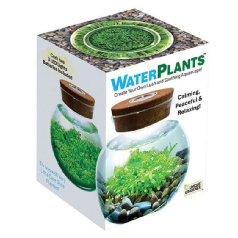 Water Plants
