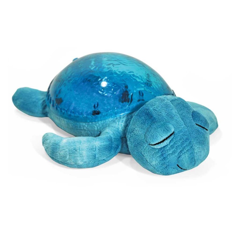 Tranquil Turtle - Aqua