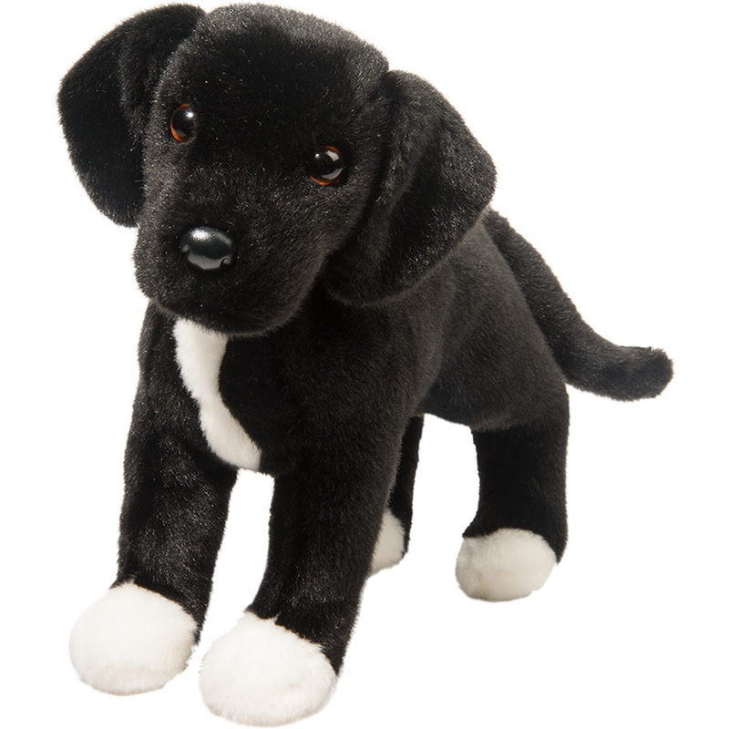 Twister - Black Lab/Pit Bull Mix Rescue Pup