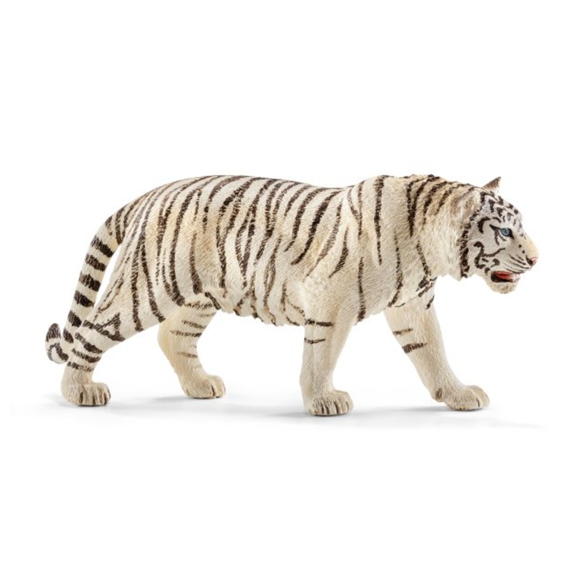 Tiger, white