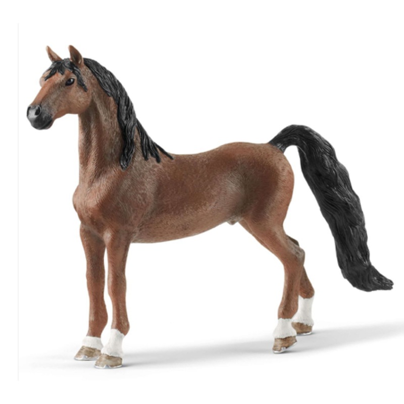 American Saddlebred Gelding