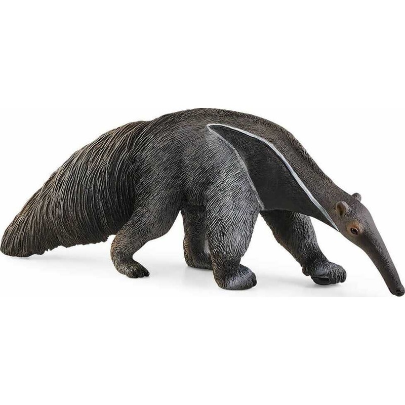 Anteater